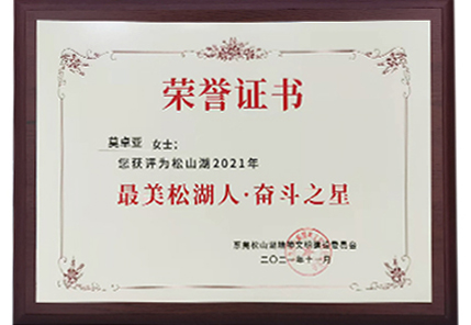 祝贺！弓叶科技总经理莫卓亚荣获“松山湖奋斗之星”