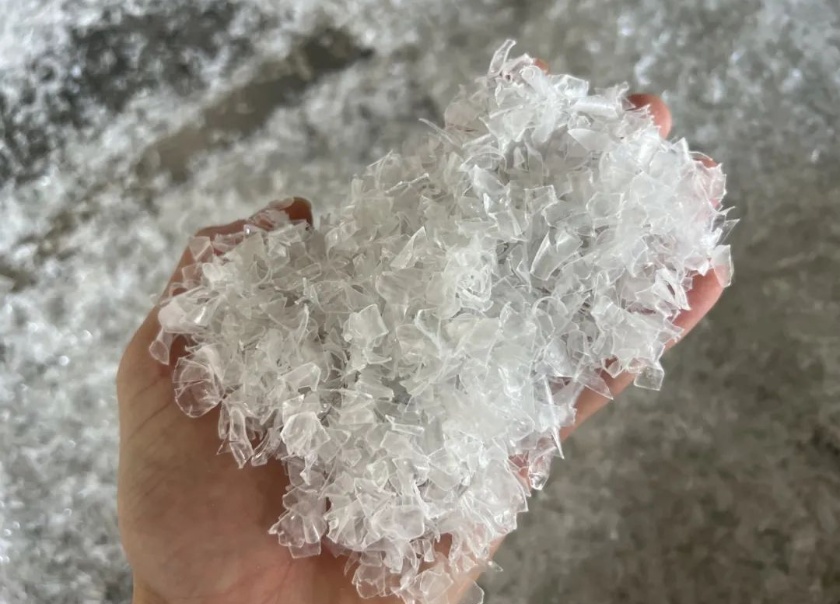 黄片不超标：弓叶AI荧光老化光选机破解黄片困局